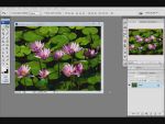 Adobe Photoshop: K�p beilleszt�se a sz�vegbe