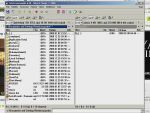 Flv vide� let�lt�s a legegyszer?bben!